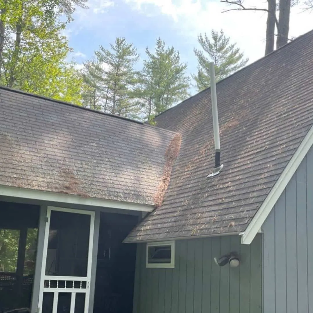 House-roof-with-a-TV-antenna-near-the-edge-and-moss-growth-on-adjacent-section