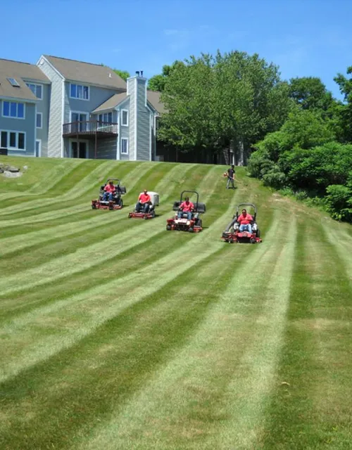 work photo from nassarlandscaping.com