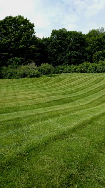 Berklane Lawn & Landscape work photo