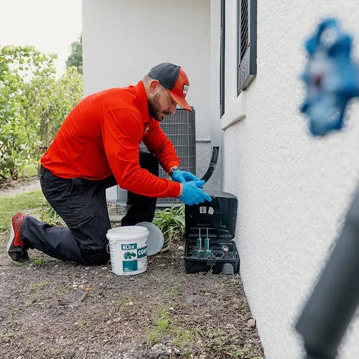 Grafton Pest Control work photo