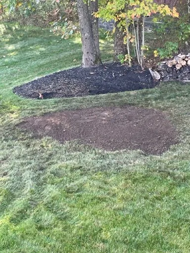 Review photo by Al Vachon