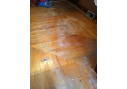 Proclean Wood Floors researched project photo