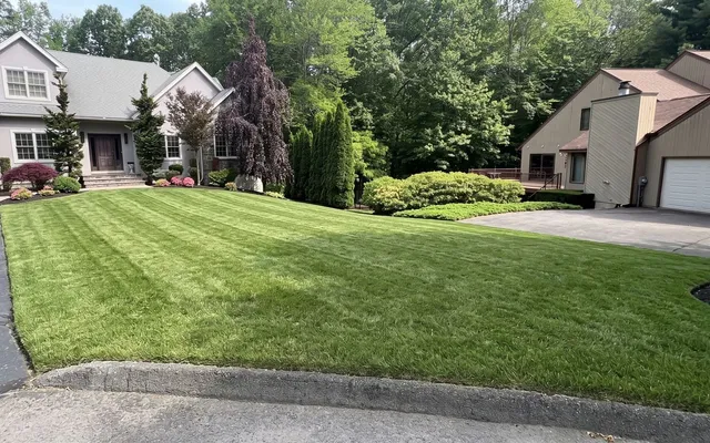 Peter's Mowing work photo