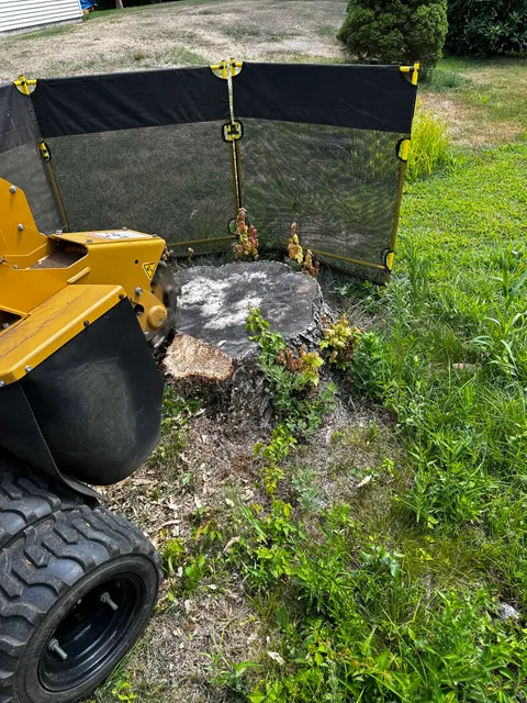 CZ Stump Grinding work photo