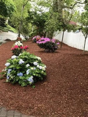 Sasha Landscaping researched project photo