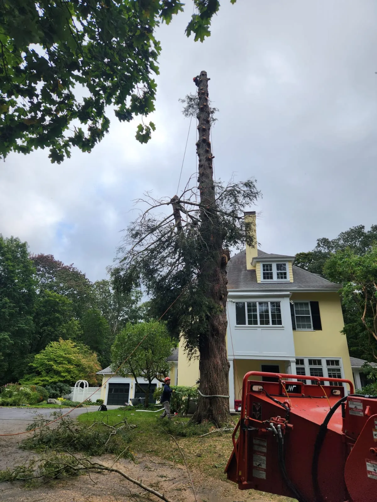 GRL Landscaping & Tree Services