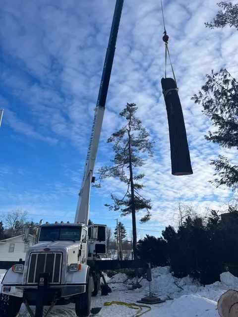 Belanger Tree Care work photo