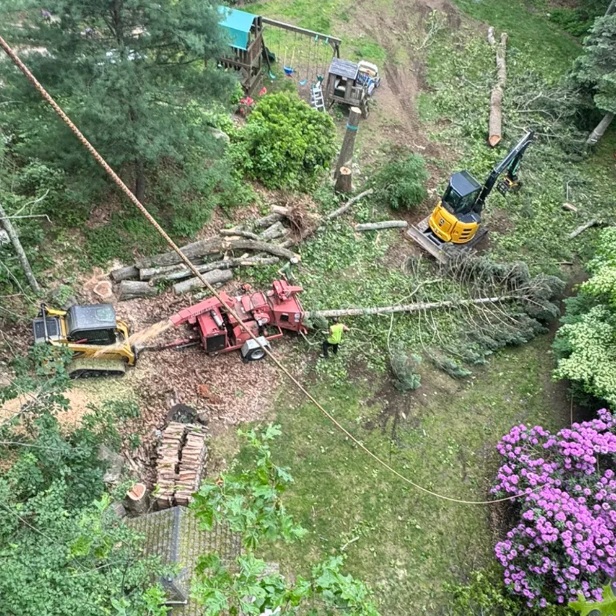 work photo from dovercountrytrees.com