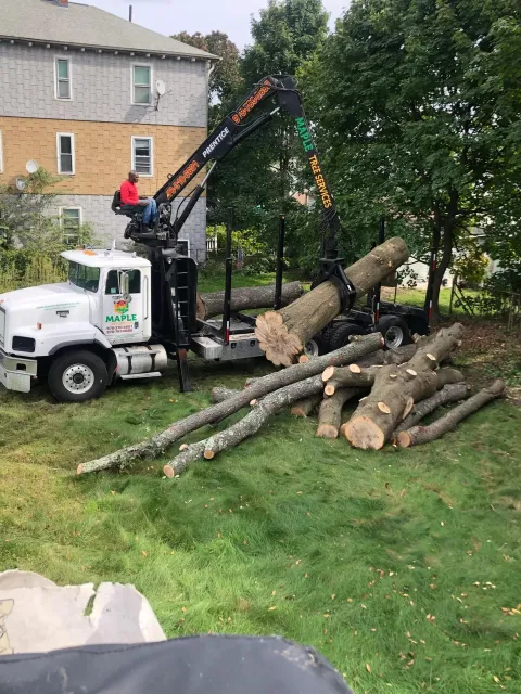 work photo from mapletreeservices.net