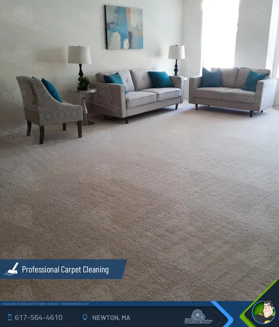 USA Clean Master work photo