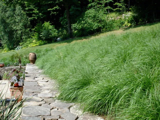 Stone pathway alongside lush green grass with potted plants and trees in the background.