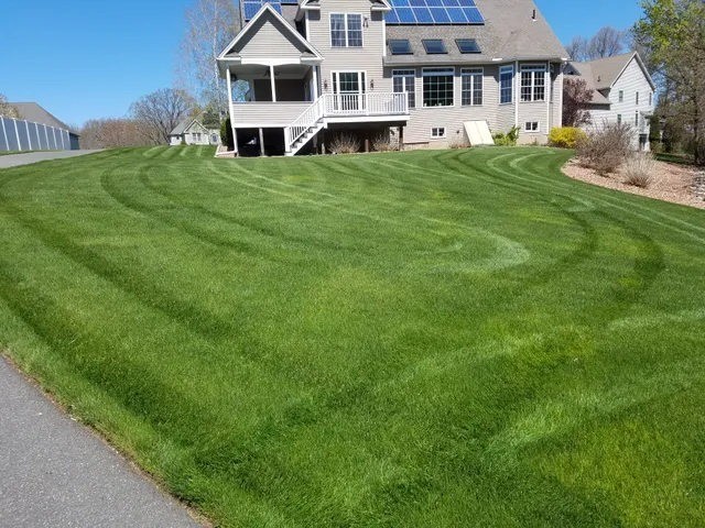 My Lawn Guy's Fertilizer & Turfcare work photo