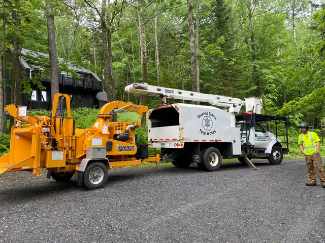Snapping Turtle Tree Works tree service work photo