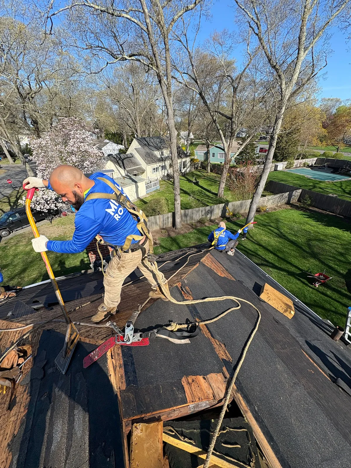 A Miceli roofer stripping old shingles off a roof deck with a tear-off shovel