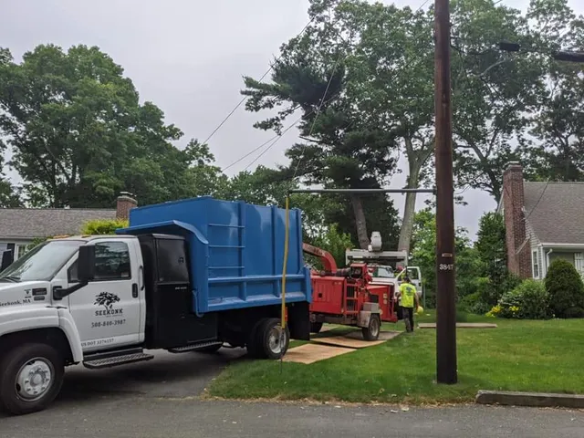 Seekonk Tree Service work photo