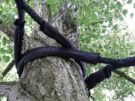 Tree Support Systems Cooks Tree Care.jpg