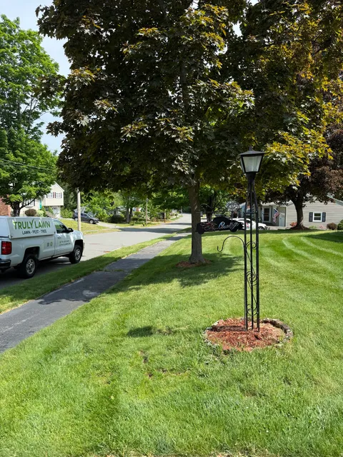 Truly Lawn