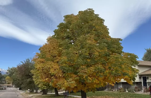 Summer Stress Isn't Over: Here's What to Watch for This Fall