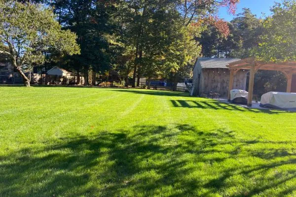 Soldevilla Lawn & Landscape