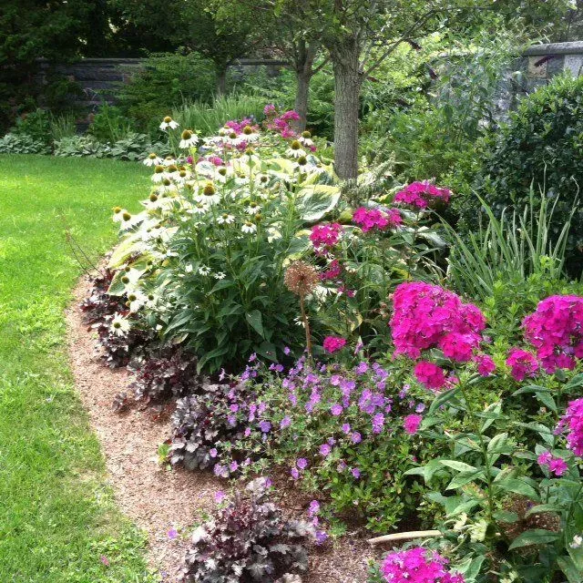 Curved flower bed with pink, white, and purple blooms beside a green lawn and tree