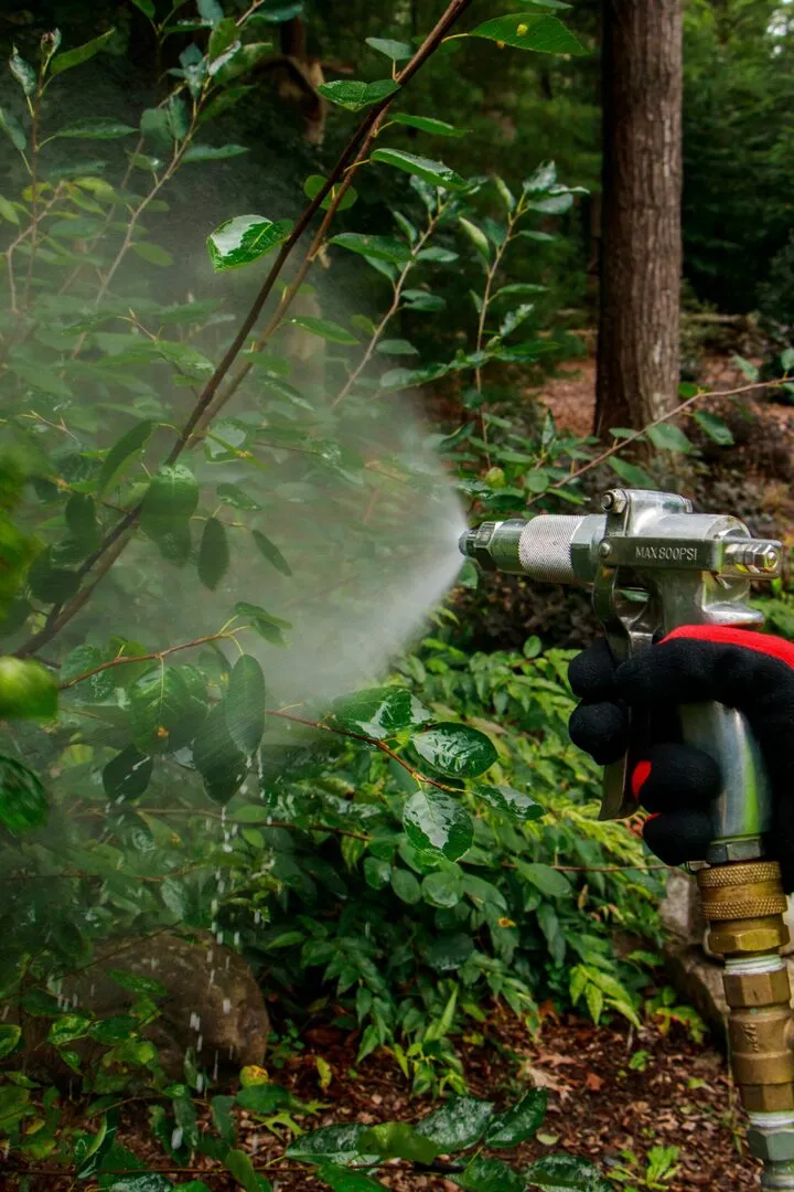 work photo from pathfindertreeservice.com
