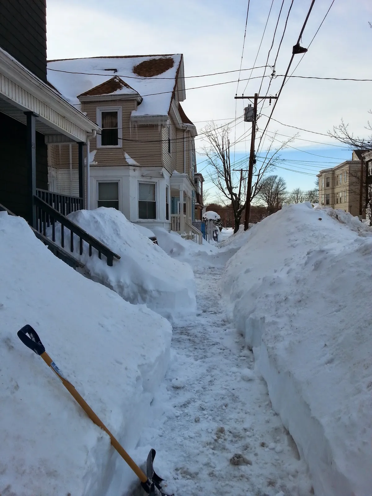 Antonio's landscaping & construction & tree service & carpentry & panting demolition and more