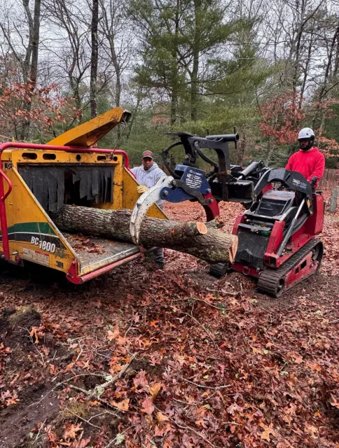 work photo from treebusterscapecod.com
