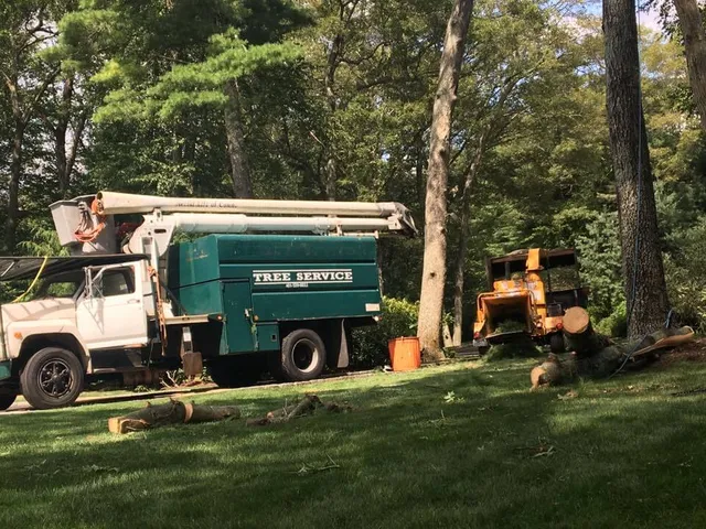 A Victor Tree and Landscape Service LLC work photo