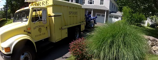 work photo from sporretreeservice.com