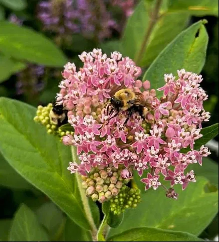 work photo from natureworksgardencenter.com