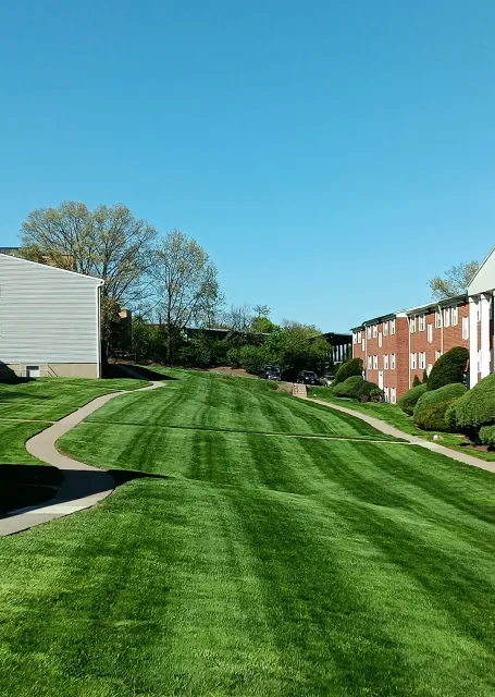 work photo from milfordqualitylandscaping.com