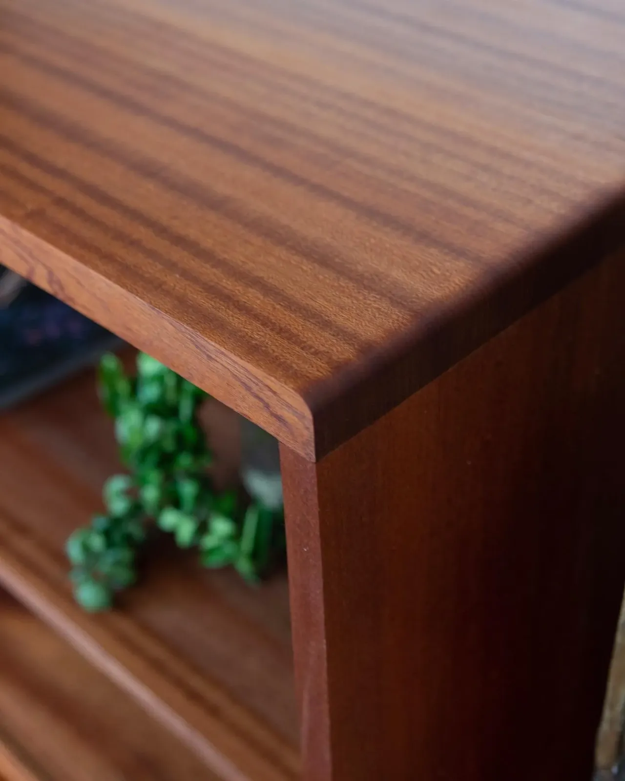 Close-up view of a wooden bookshelf corner with a plant in the background.