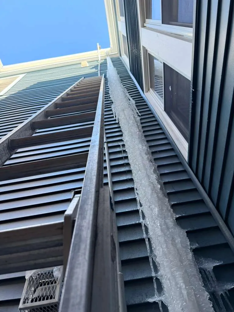 Next Level Window Cleaning Inc