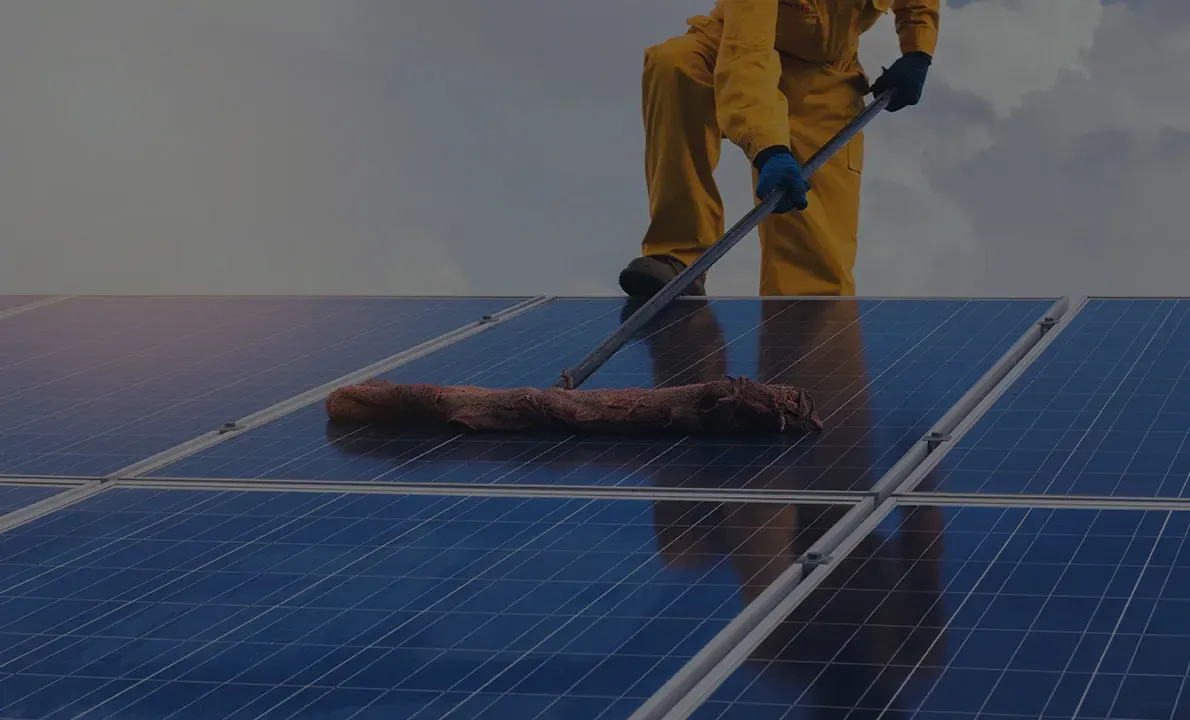 Solar Panel Cleaning