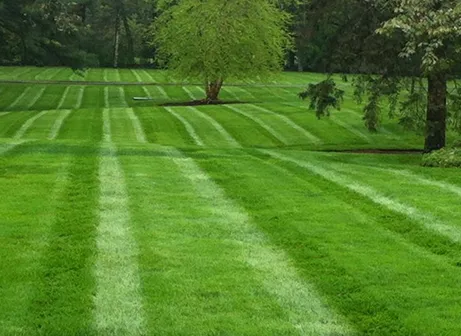 work photo from cryanlandscape.com