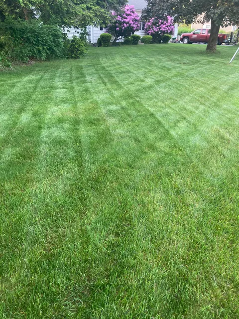 Professional Turf Services work photo