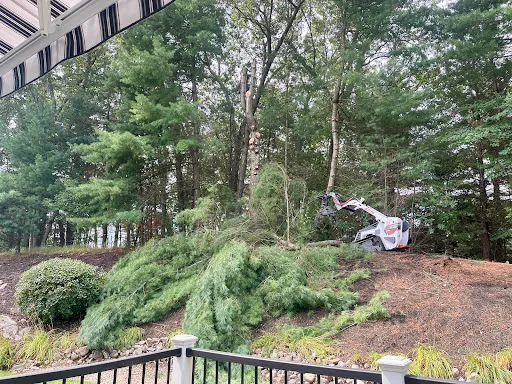 Review photo by Paul Buscemi
