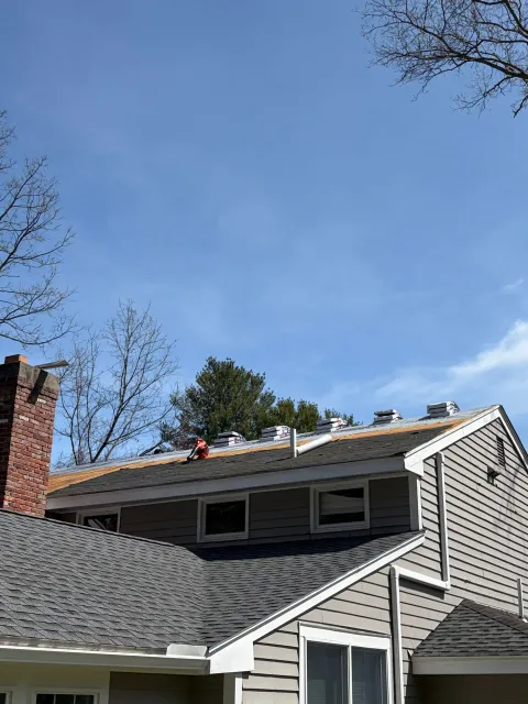 House roof with blue sky, dormer windows, chimney, and bare tree branches
