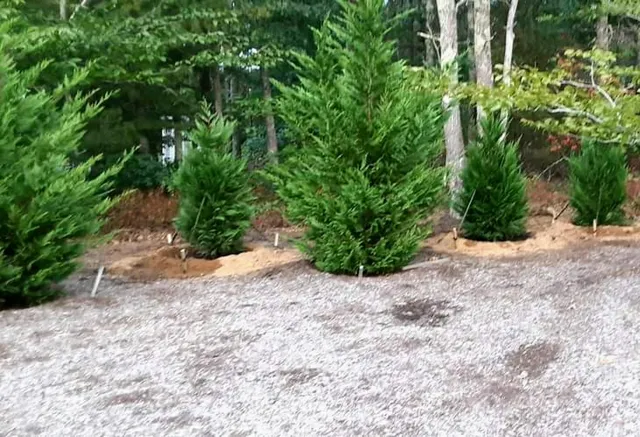 Jeffrey Williams Landscaping work photo