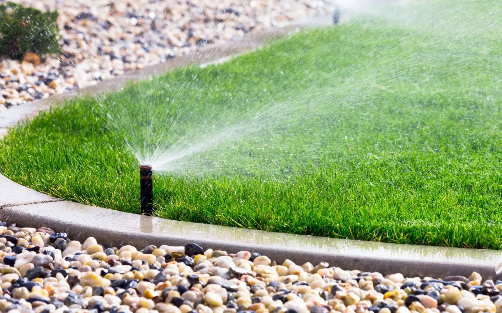 Sprinkler