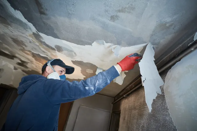 work photo from soilaway.com