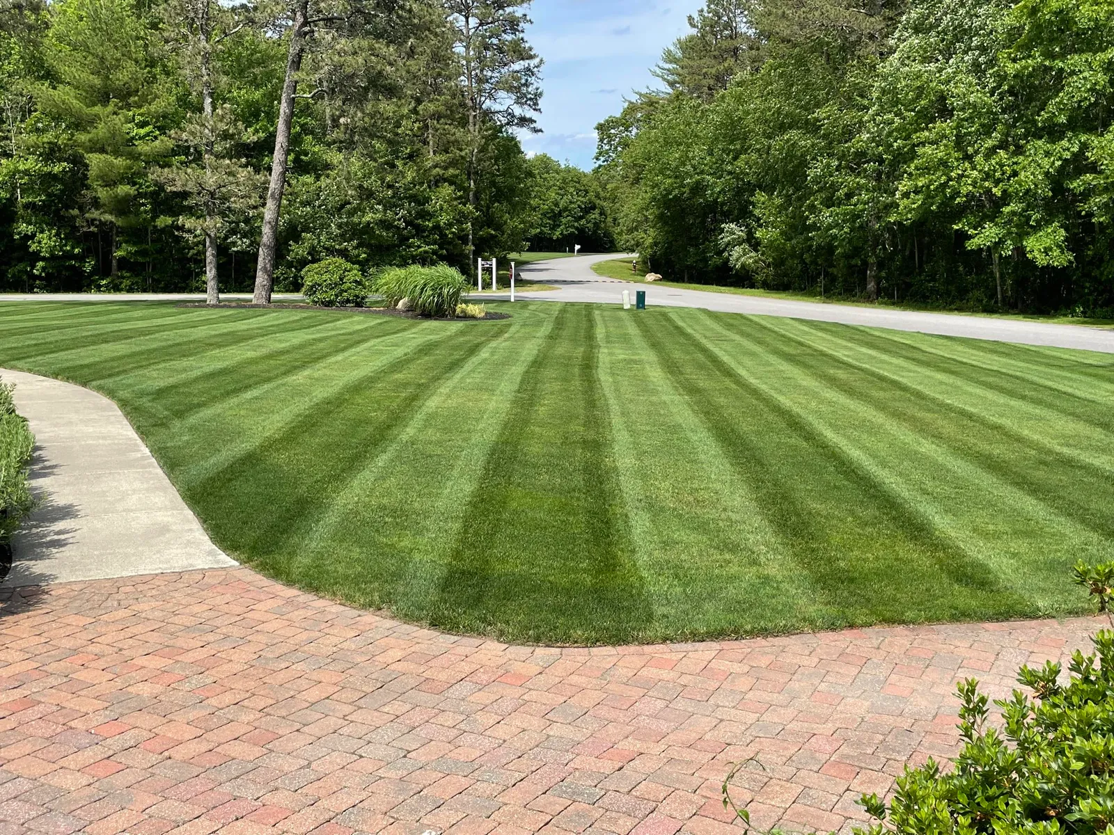 PROTURF lawn transformation