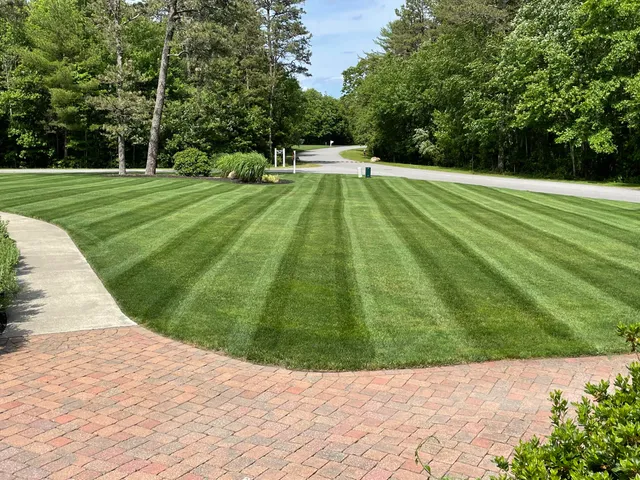 PROTURF lawn transformation