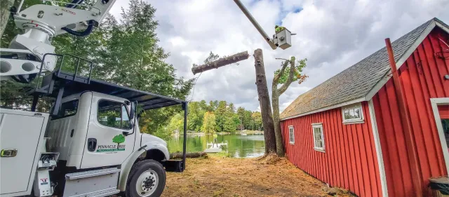 A white truck is cutting a tree in front of a red barn.