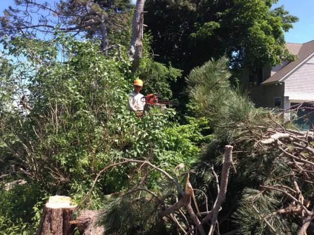 work photo from 207landscaping.com