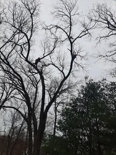 work photo from jhernandezlandscaping.com