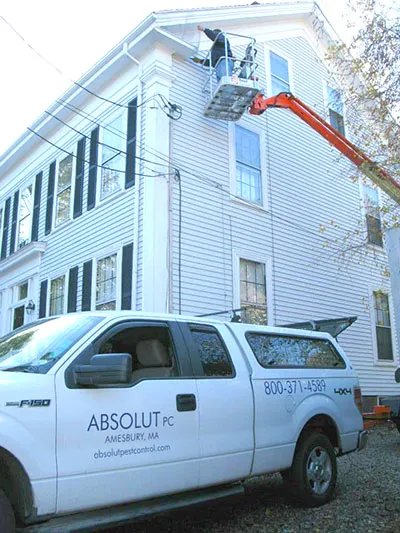Absolut Pest Control work photo