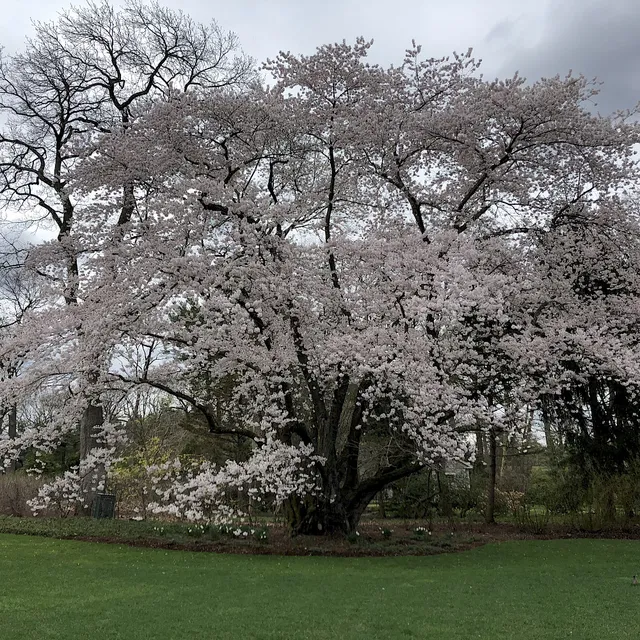 work photo from vistahorticulturalservices.com