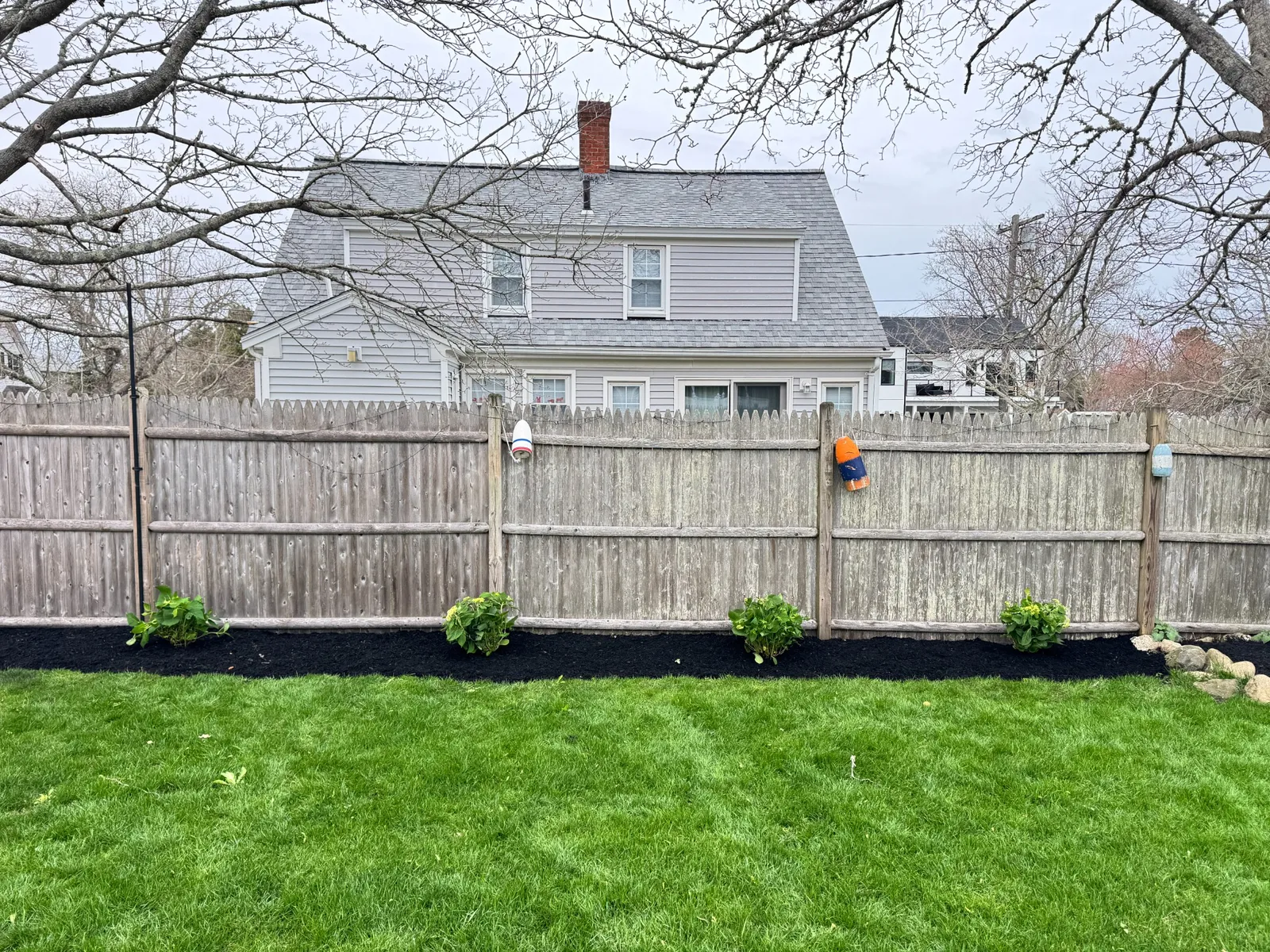 Newly planted shrubs in a freshly mulched garden bed