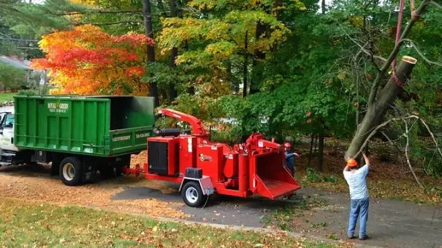 Royal Green Tree Service chipper